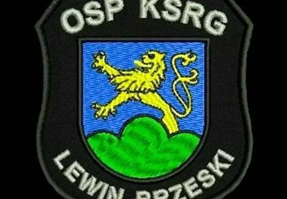 Awaria piecyka gazowego w Lewinie Brzeskim – interwencja strażaków