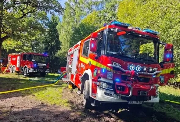 Strażacy z Nysy i Kędzierzyna-Koźla ćwiczyli gaszenie pożaru lasu w powiecie głubczyckim