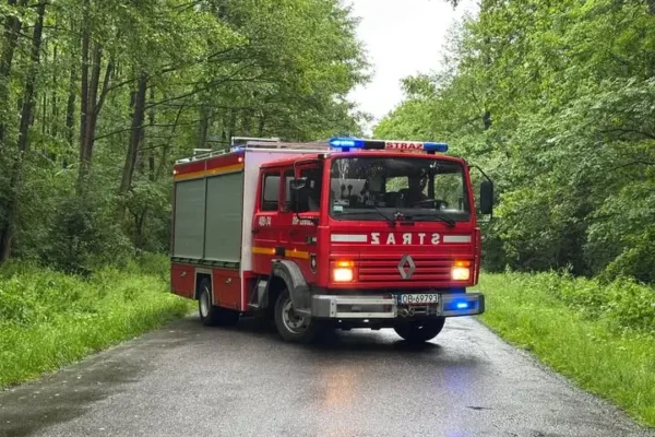 Fałszywy alarm w Lubszy: strażacy ruszyli na pomoc sarnie, ale zwierzę nie potrzebowało ratunku