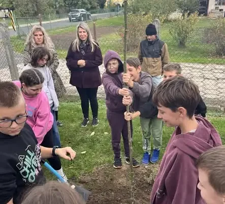 Jarzębiny i buki przy szkole w Olszance – akcja „Posadźmy drzewo”