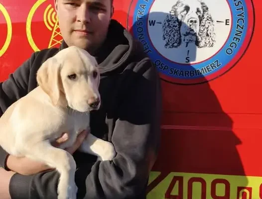 Nowa kandydatka na psa ratowniczego rozpoczęła szkolenie